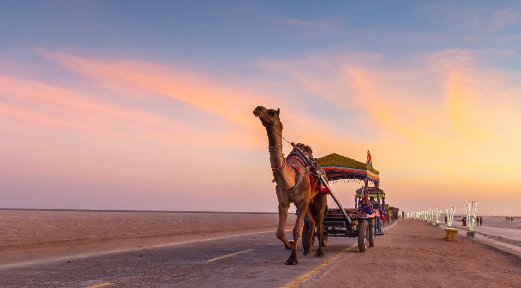 rann-of-kutch