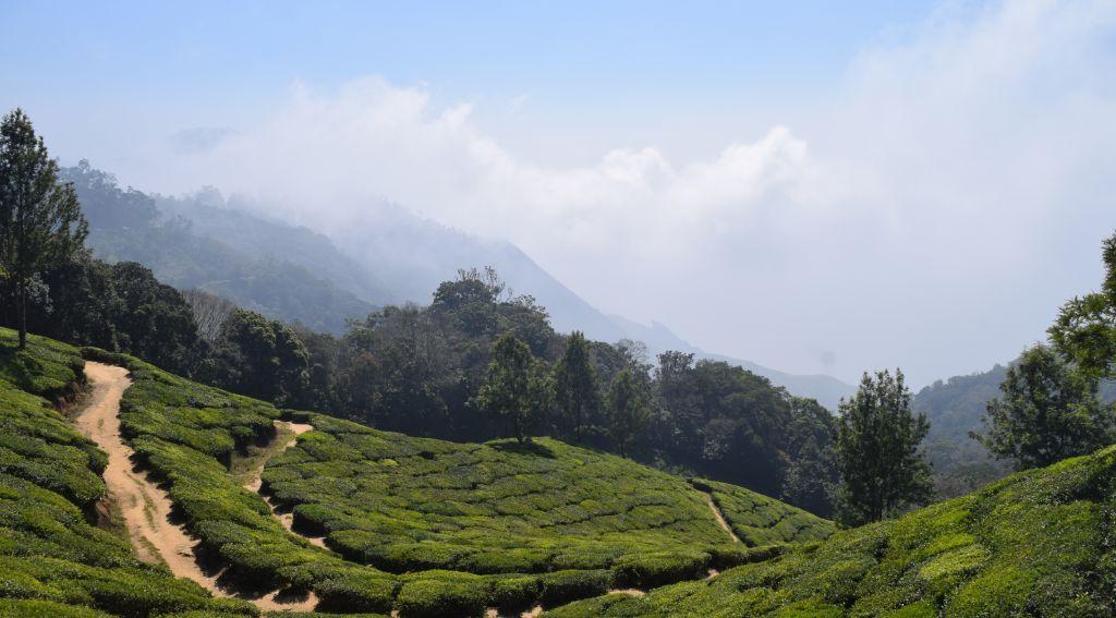 munnar-kerala