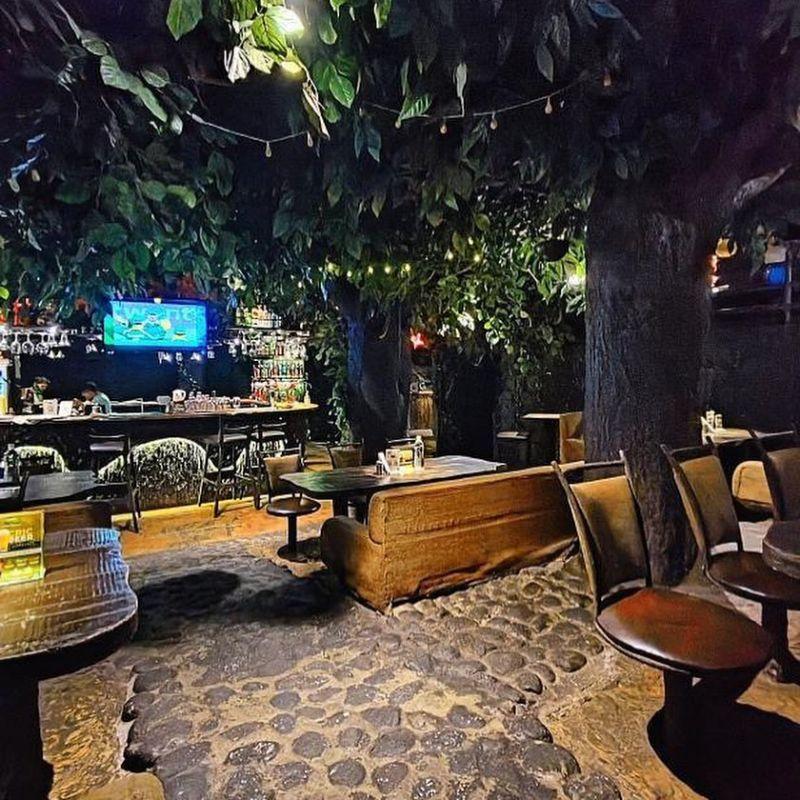 Rainforest-resto-bar