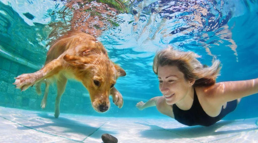 poolside-getaway-with-pet