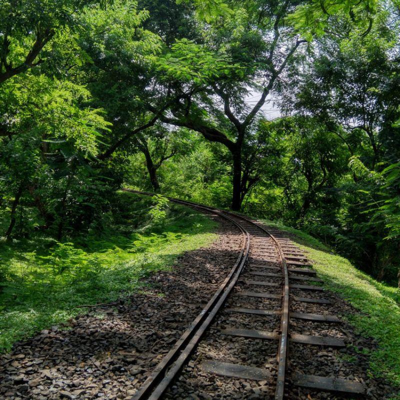 Sanjay Gandhi National Park