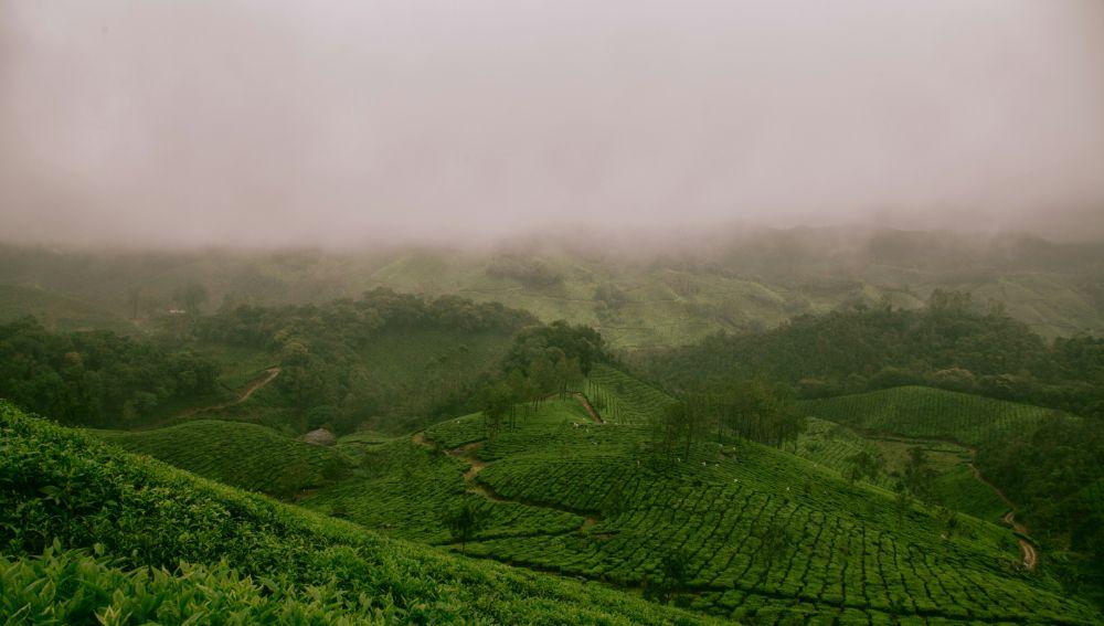 Ooty Hills