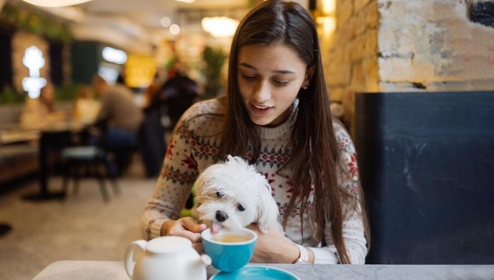 Pet-friendly cafes Delhi