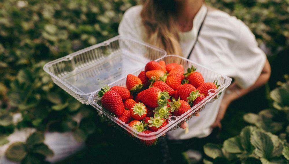 Strawberry Field