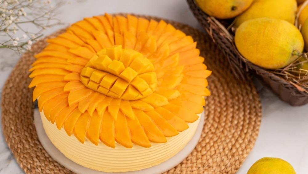 Best Mango Cheesecake in Mumbai